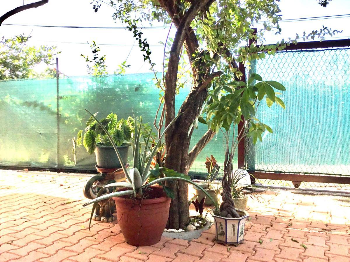 פאפיט Belle Maison F3 מראה חיצוני תמונה