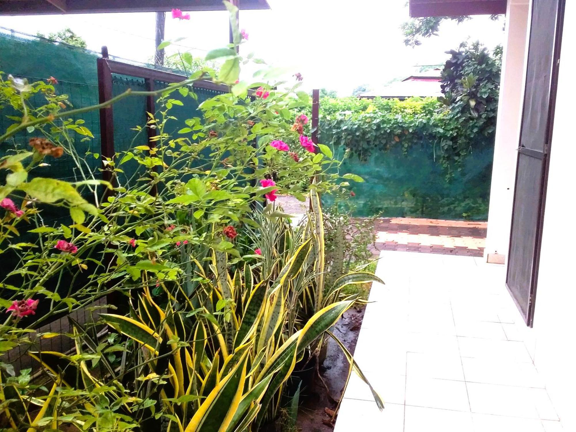 פאפיט Belle Maison F3 מראה חיצוני תמונה